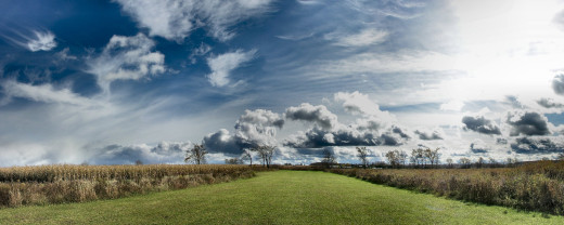 436889 (a): :2560x1024